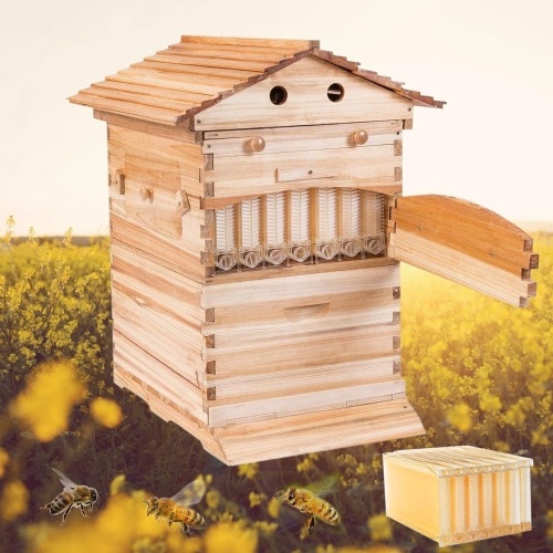 Wooden Beekeeping House Beehive Boxes with 7 PCS Auto Bee Hive Frame - Lot 601