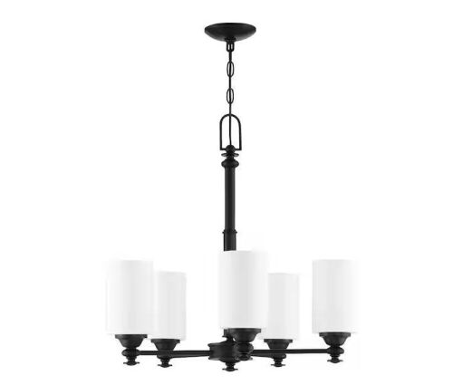 Dardyn 5-Light Espresso Finish w/Frost White Glass Transitional Chandelier  - Lot 197