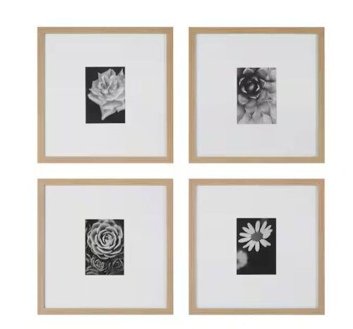 StyleWell Ash Modern Frame with White Matte Gallery Wall Picture Frames, 16" x 16" Matted to 5" x 7", Set of 4 - Lot 357