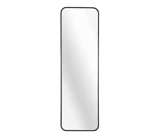 14 in. W x 47 in. H Full Length Wall Mounted Mirror - Lot 855