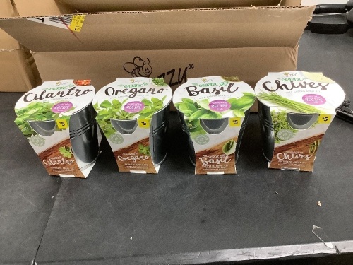 Box of Buzzy Garden Grow Kit 8pc - Lot 6034