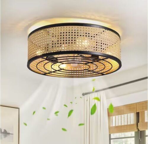 WDETR 20 in. Indoor Black Boho Caged Ceiling Fan with Lights and Remote Control - Lot 298