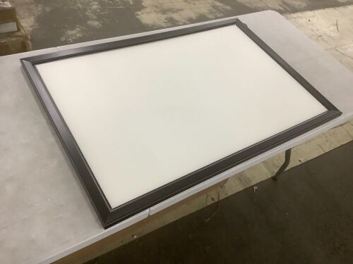 Large Picture Frame - Light Damage - Lot 436