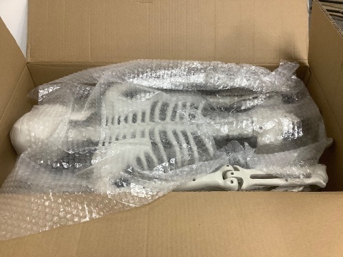 Box of Posable Skeletons 2ct - Lot 6124