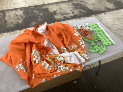 Lot of (10) Hiyoko Saionji Kimono Cosplay Outfits  - Lot 686