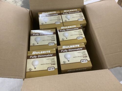 Bulbrite 60-Watt Equivalent G40 Milky Dimmable Decorative Filament LED Light Bulb Warm White, 6-Pack - Lot 573