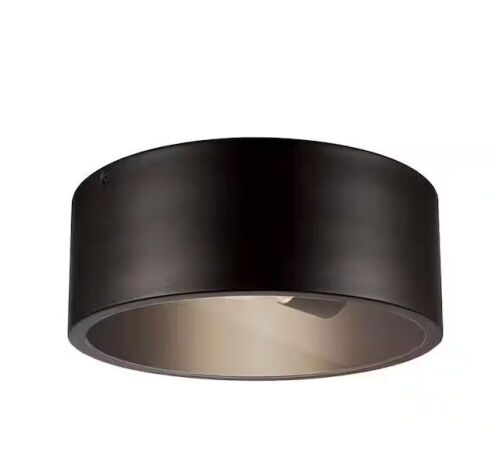 Globe Electric Teagan 1-Light Dark Bronze Outdoor Indoor Flush Mount Ceiling Light - Lot 782