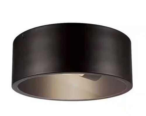 Globe Electric Teagan 1-Light Dark Bronze Outdoor Indoor Flush Mount Ceiling Light - Lot 451