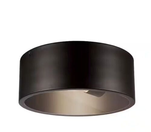 Globe Electric Teagan 1-Light Dark Bronze Outdoor Indoor Flush Mount Ceiling Light - Lot 456
