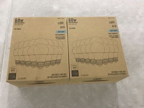 Lot of (2) 60-Watt Equivalent A19 Non-Dimmable LED Light Bulb Daylight, 16-Pack - Lot 294
