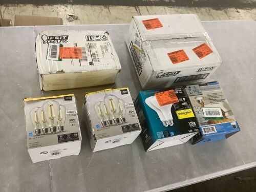 Lot of Assorted Light Bulbs  - Lot 295