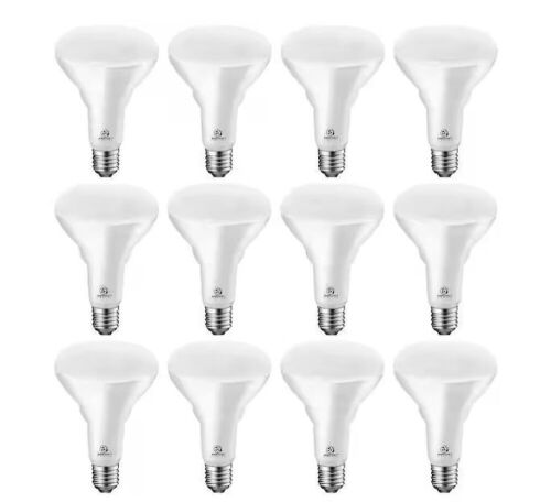 ENERGETIC LIGHTING 75-Watt Equivalent BR30 LED Recessed Light Bulb Dimmable 900 Lumens Daylight 5000K, 12-Pack - Lot 631