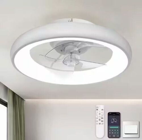 ARISKEEN 20 in. Indoor Ceiling Fan with Light Remote and APP Control, 6 Wind Speeds - Lot 749