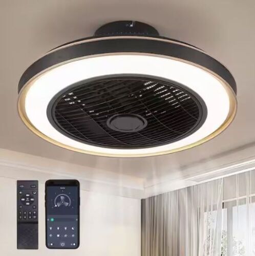 ANTOINE 20 in. Indoor Black Caged Enclosed Ceiling Fan with LED Light Modern Low Profile Ceiling Fan with Remote and APP Control - Lot 107
