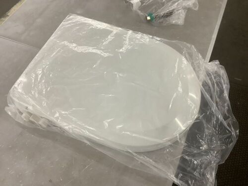 Bidet Toilet Seat - Lot 301