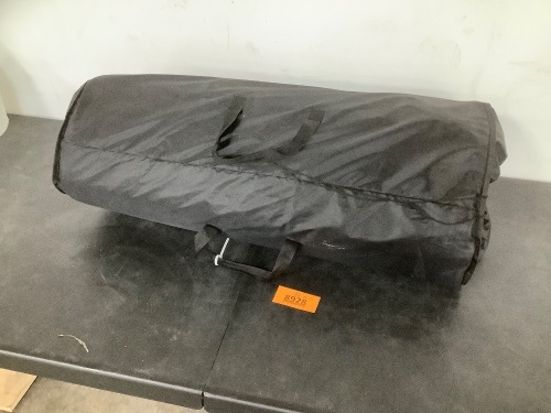Indoor/Outdoor Area Mat - Lot 8928