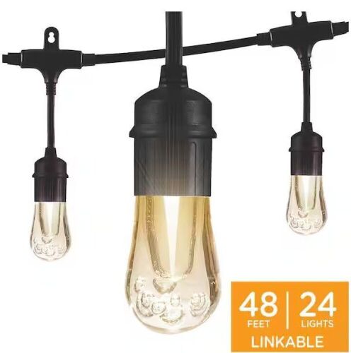 Enbrighten 24 Bulbs 48 ft. Outdoor/Indoor Black Vintage LED String Lights, Acrylic Edison Bulbs - Lot 59