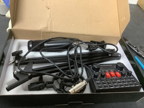 Professional Condenser Microphone - Lot 9278
