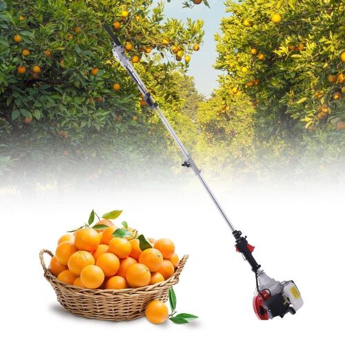 43cc 2 Stroke Fruit Picker Machine  - Lot 74
