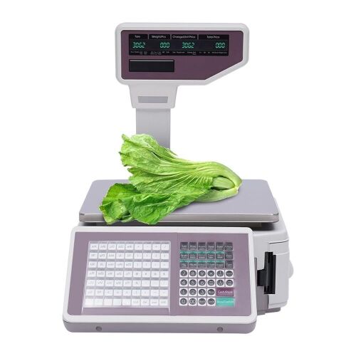 110V Commercial Digital Price Scale w/Display, Label Printing  - Lot 55