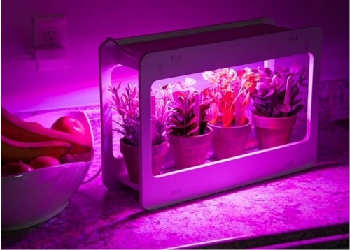 Case of (10) Mindful Design Indoor Herb Vegetable Plant Garden Kit, LED Grow Light Timer & Remote - Lot 833
