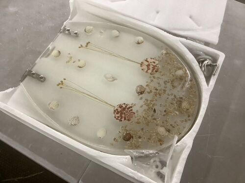 Elongated Resin Toilet Seat  - Lot 765