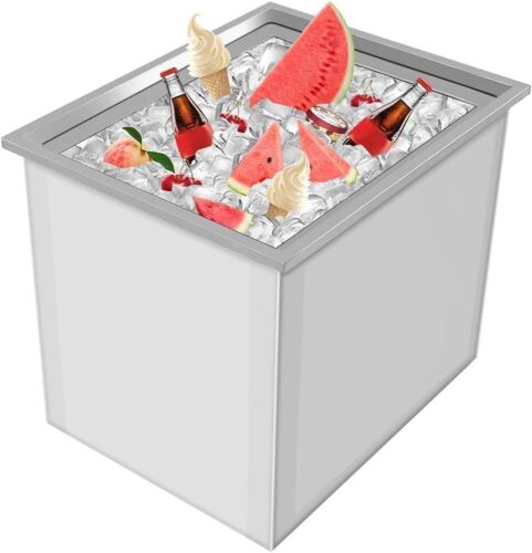 Stainless Steel Drop-in Ice Chest, 49.7 Qt, 22" x 17" x 12"  - Lot 112