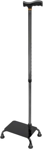 Stair Climbing Assist Cane - Lot 714