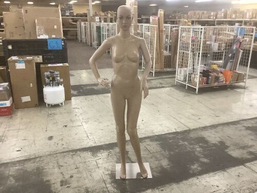 Full Body Female Mannequin  - Lot 488