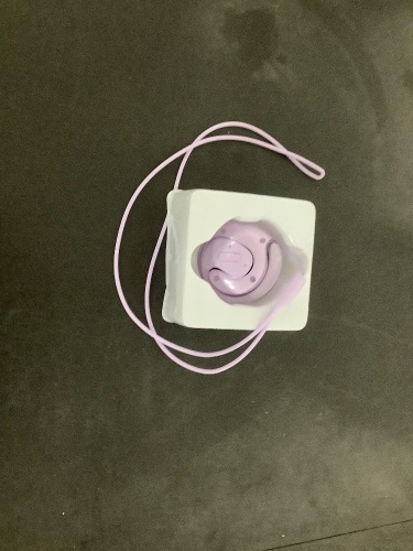 Sport Earphones - Lot 376