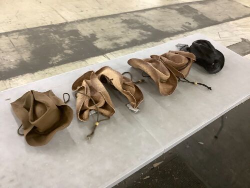 Lot of (6) Straw Cowboy Hats - Lot 692
