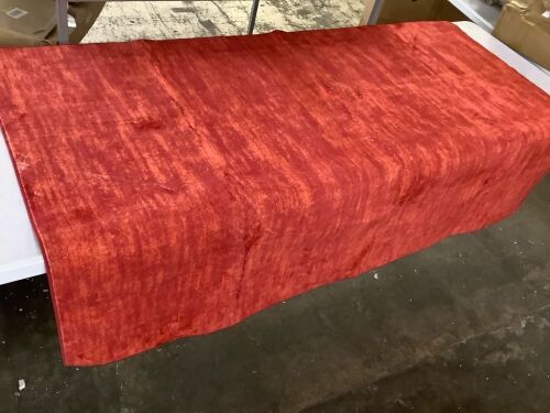 4' x 6' Washable Area Rug  - Lot 372