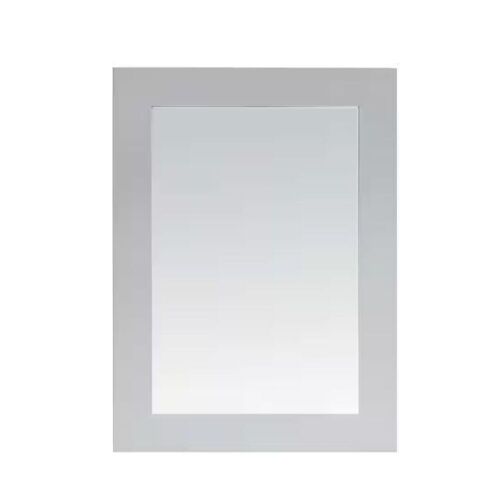 Home Decorators Collection Parkcrest 22 in. W x 30 in. H Rectangular Framed Wall Mount Mirror in Dove Gray - Lot 629JF