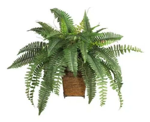 Nearly Natural 23 in. Artificial Boston Fern Silk Plant with Wicker Basket - Lot 851JF