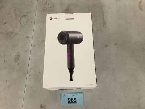 Slopehill Hair Dryer - Lot 965