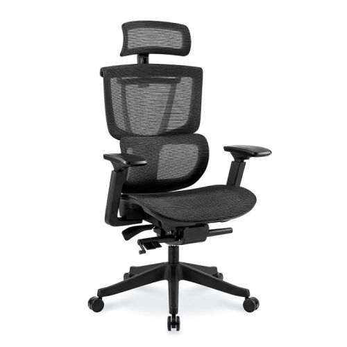 FlexiSpot Premium Ergo Office Chair - Lot 39WG