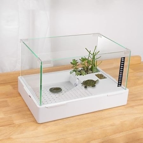 BETAZOOER Turtle Tank - Lot 229