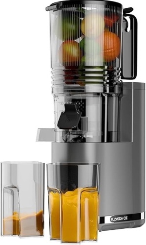 TOPZEE Cold Press Juicer - Lot 25