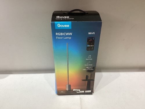 Govee RBGICWW floor lamp - Lot 53