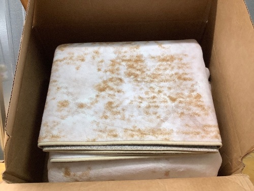 Large Indoor Area Rug - Lot 1816