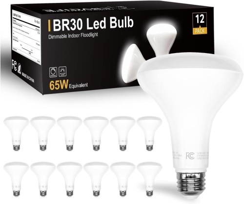 DAYBETTER 12Pack BR30 LED Light Bulbs Indoor Flood Light 65W Equivalent, Daylight White 5000K, Dimmable Recessed Light Bulb for Bedroom Kitchen Living Areas, 800 Lumens E26 Base - Lot 1988