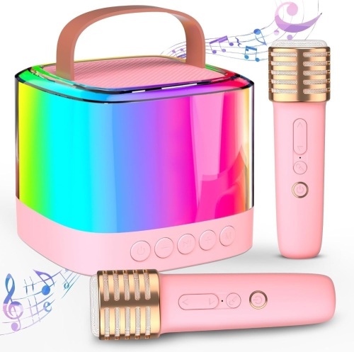 Mini Karaoke Machine for Kids Adults, Portable Bluetooth Karaoke Speaker with 2 Wireless Mics - Lot 1990
