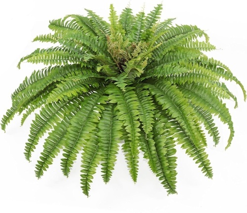 Artificial Ferns for Outdoors & Indoors, 45" Large Faux Ferns 63 Fronds Fake Boston Fern Plant for Planter Garden Porch Entrance Home Windowsill Yards Farmhouse Decoraction (1 Stem) - Lot 1840