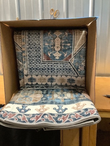 Large Indoor Area Rug - Lot 1841