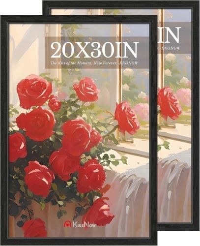 20x30 Poster Frame 2 Pack, Textured Black Solid Wood, Wall Gallery Picture Frame - Lot 2094