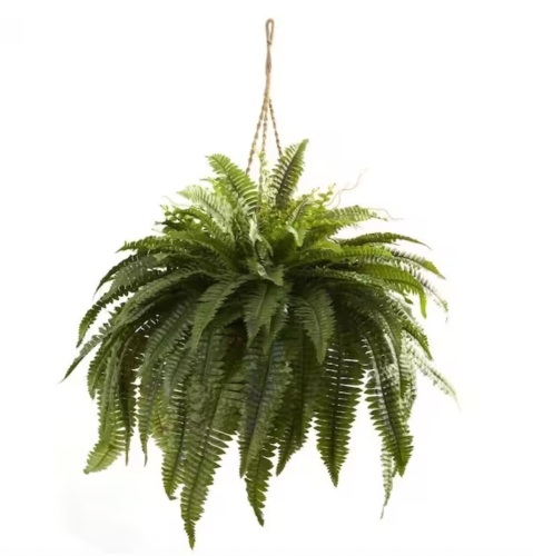 Nearly Natural Artificial Double Giant Boston Fern Hanging Basket - Lot 1083JF