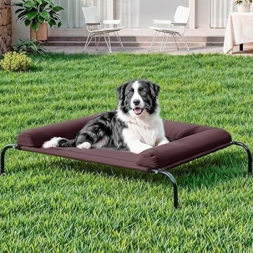 Elevated Dog Bed Cot - Lot 146