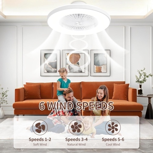 24 inch LED ceiling fan light - Lot 2279