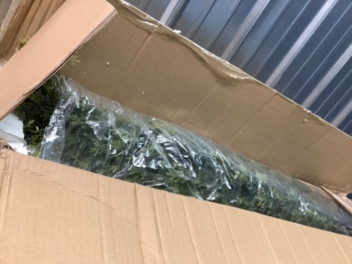 Set of 2 Cedar Trees - Lot 2504