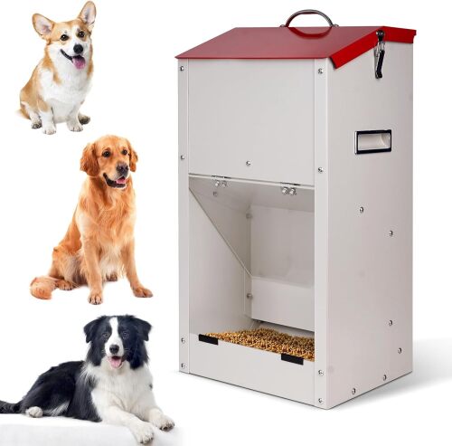 Large Automatic Dog Feeder With Handle - Lot 2720